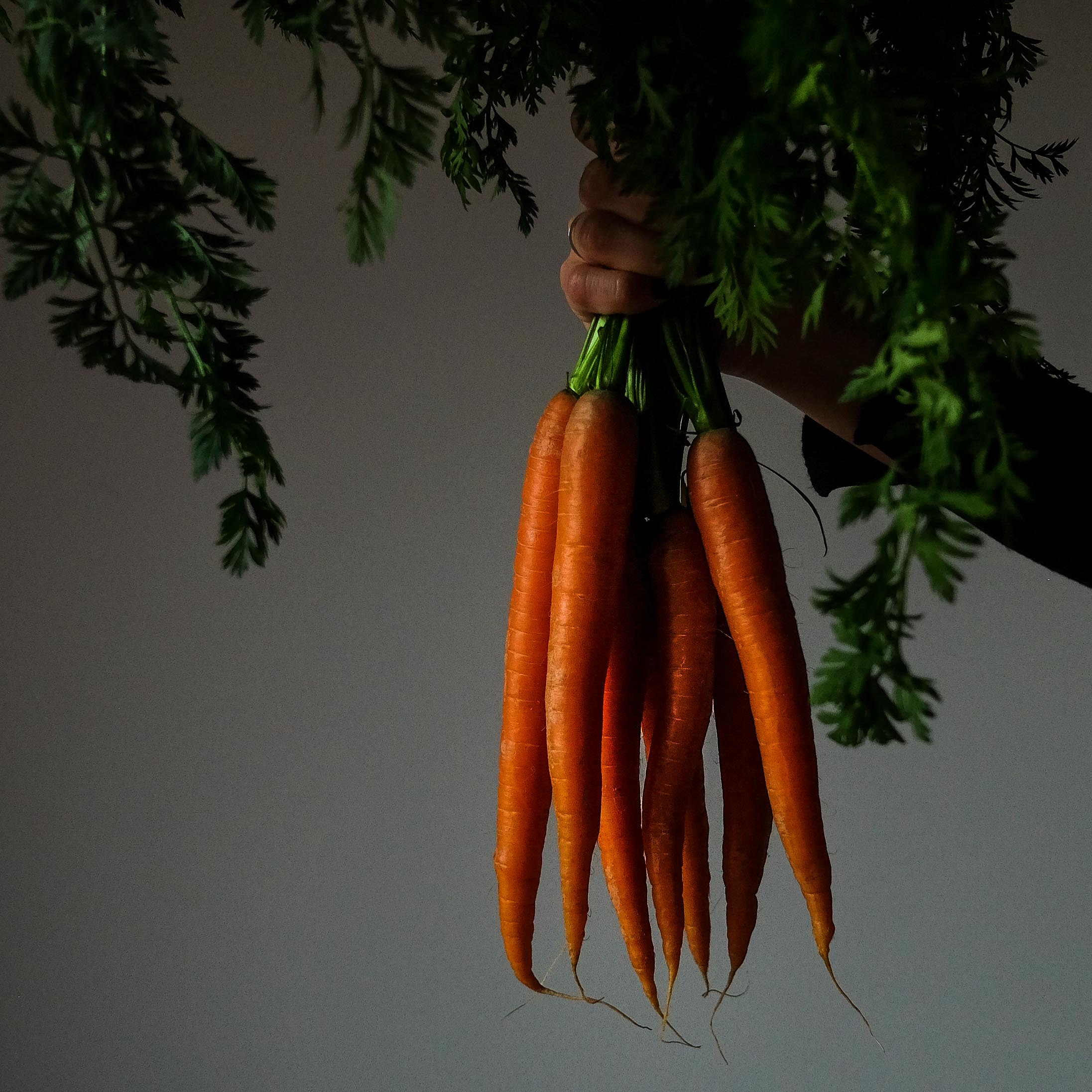 Food Photography, Elif Ergin