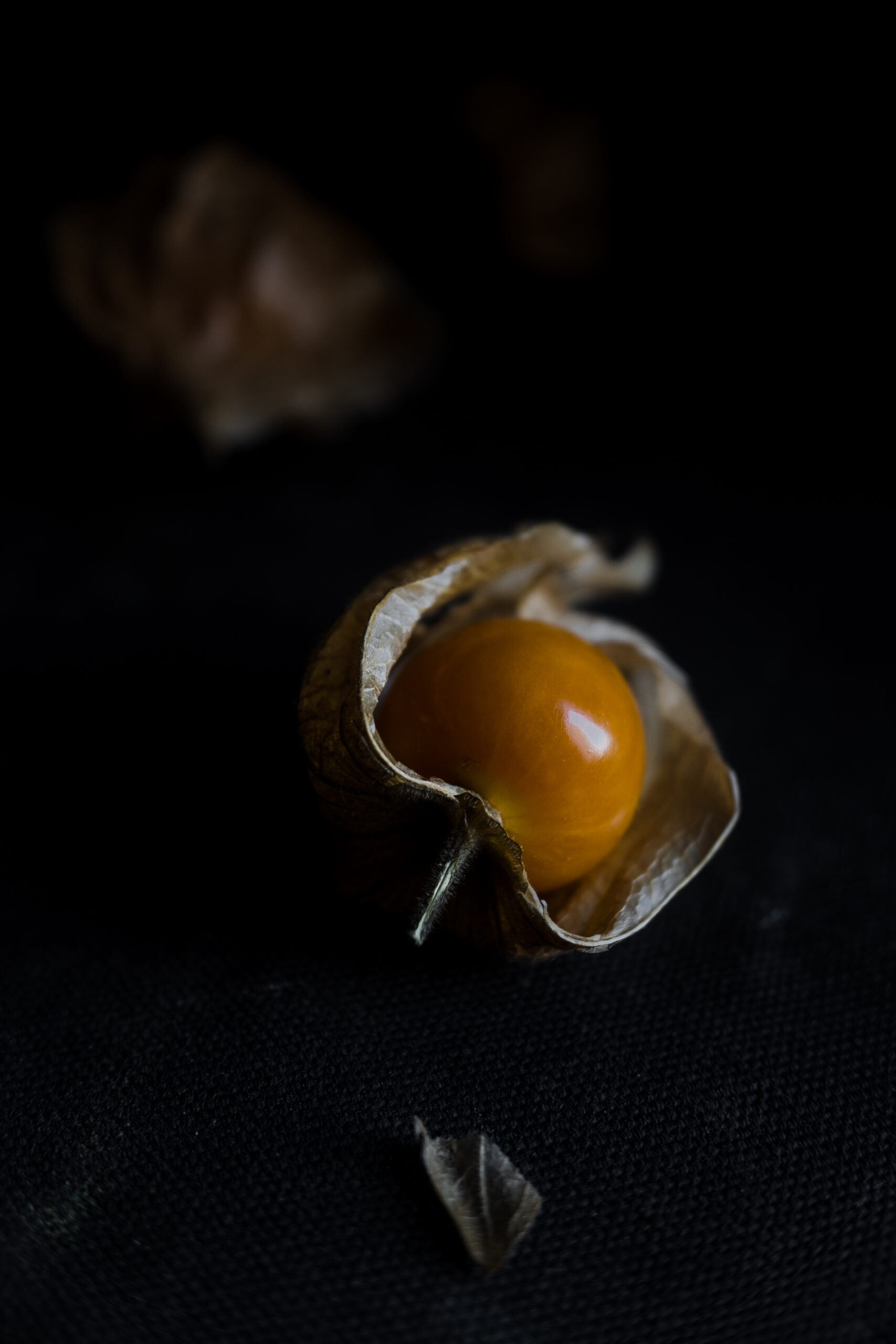 Elif Ergin, Food Photography