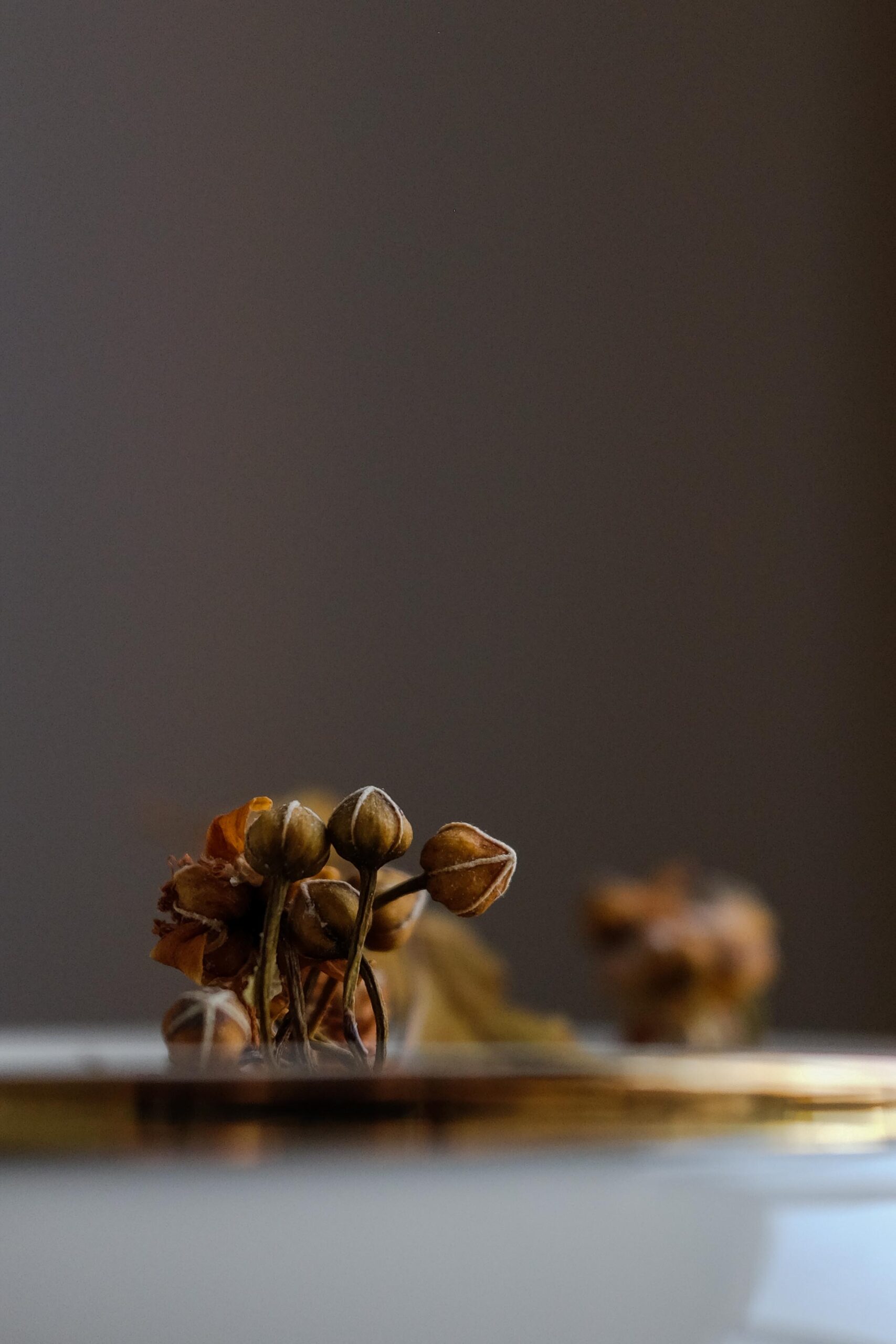 Food Photography, Elif Ergin